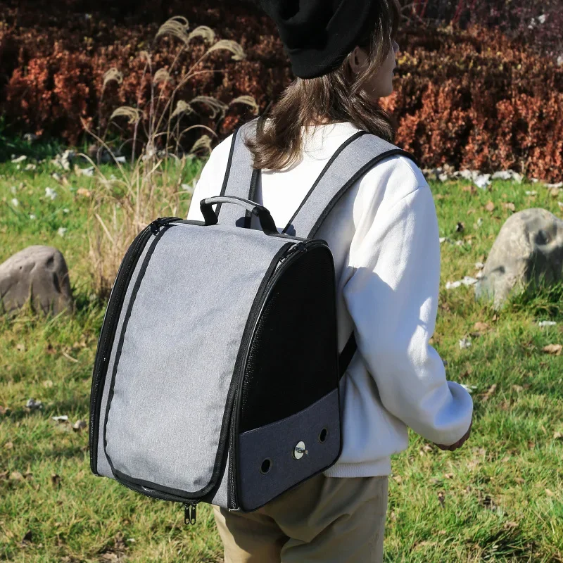 Outdoors Parrot Backpack Porta - Luxury Bags Price avaliação e preço